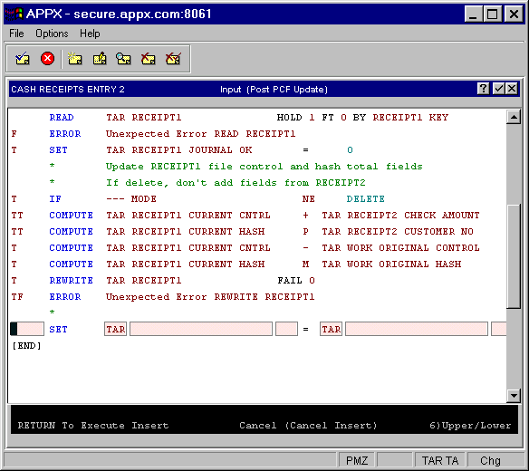 A SET Statement Format Template in Add Mode