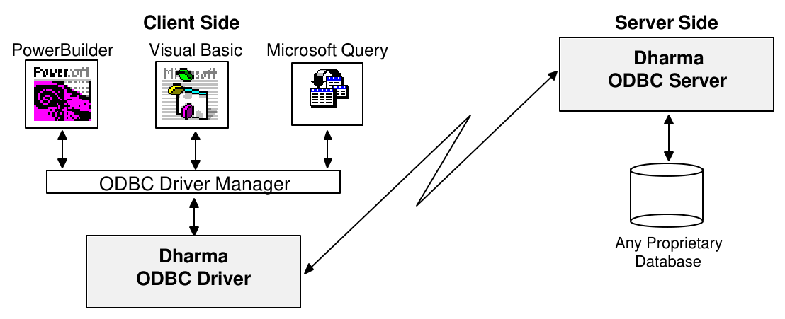Figure 1–2. Dharma DataLink SDK Client/Server