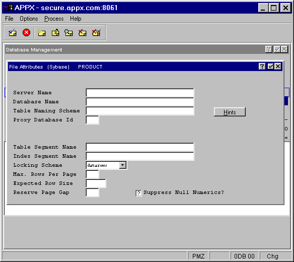 File Attributes Overlay for Sybase (Type 4)