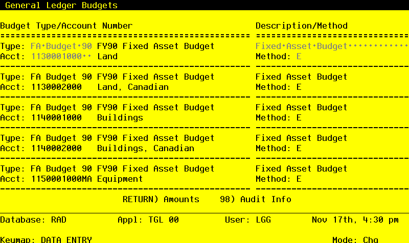 The Budget Analysis Budgets Screen