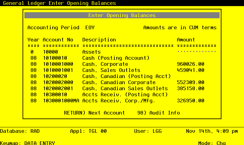 The General Ledger Initial Setup Enter Opening Balances Screen
