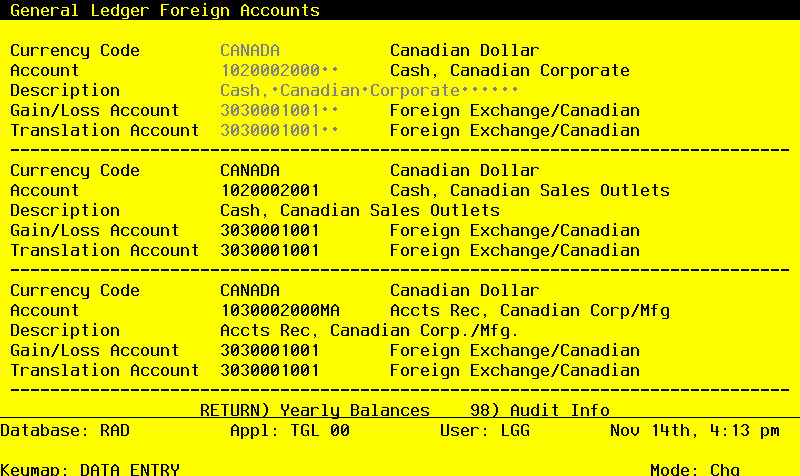 The General Ledger Initial Setup Foreign Accounts Screen