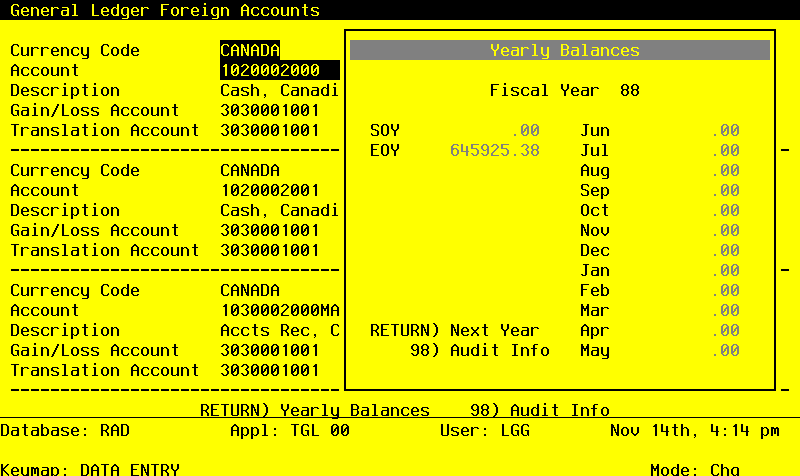 The General Ledger Initial Setup Foreign Balances - Display Screen
